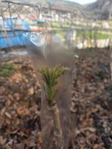 한상훈님의 작성글 사진