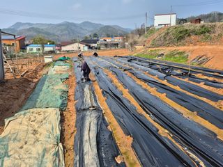 이준영님의 기타작물 · 영농일지 작성글 사진