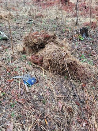 돈디아고(김덕수)님의 기타작물 · 영농일지 작성글 사진