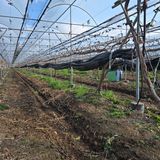 동동예행복농장님의 작성글 사진