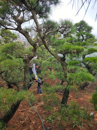 상추22033님의 기타작물 · 영농일지 작성글 사진