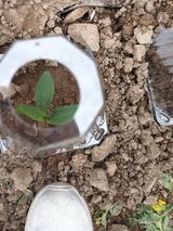 호박24125님의 작성글 사진