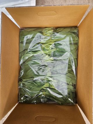 전봉우(채미농원)님의 기타작물 · 영농일지 작성글 사진