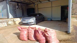 이순기님의 기타작물 · 영농일지 작성글 사진