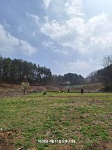 이수홍(이창희)님의 작성글 사진