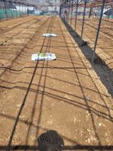 김춘성님의 작성글 사진