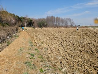 이미옥님의 벼 · 영농일지 작성글 사진