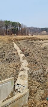 대파11156님의 작성글 사진