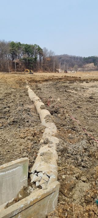 대파11156님의 기타작물 · 영농일지 작성글 사진