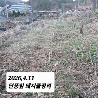 시민농장님의 기타작물 · 영농일지 작성글 사진