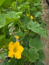 빛그린 김용화님의 작성글 사진