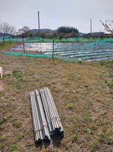 상추20832님의 작성글 사진