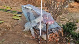 두원리 산막골농부님의 기타작물 · 영농일지 작성글 사진