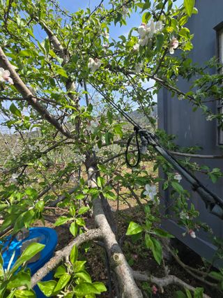 최동구님의 기타작물 · 영농일지 작성글 사진