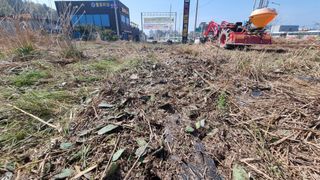 최강K님의 기타작물 · 영농일지 작성글 사진