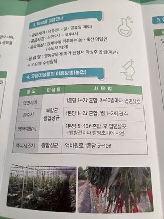 김동희님의 오이 · 영농일지 작성글 사진