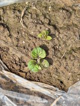 박순례님의 작성글 사진