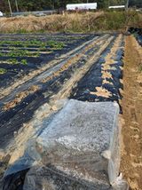 마늘14470님의 작성글 사진