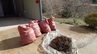 이순기님의 기타작물 · 영농일지 작성글 사진