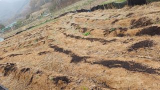 박순덕님의 기타작물 · 영농일지 작성글 사진