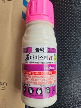 찔레골 양봉 농원님의 마늘 · 영농일지 작성글 사진