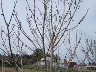 엄기덕님의 작성글 사진