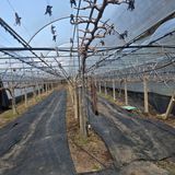 동동예행복농장님의 작성글 사진