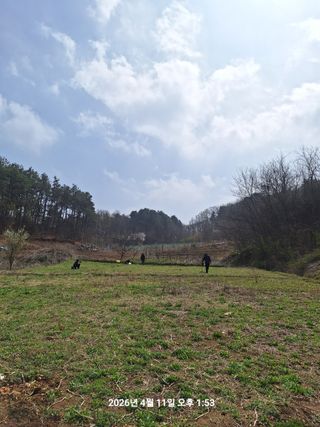 이수홍(이창희)님의 기타작물 · 영농일지 작성글 사진
