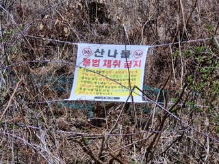 성은모님의 기타작물 · 영농일지 작성글 사진