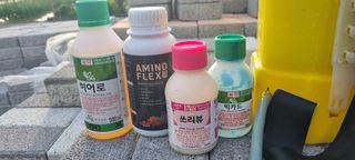 초연동행님의 복숭아 · 영농일지 작성글 사진