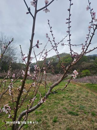 장정규님의 작성글 사진