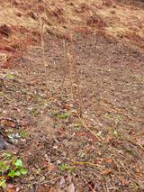 돈디아고(김덕수)님의 작성글 사진