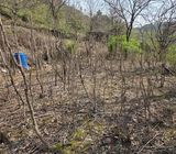 최은호님의 작성글 사진