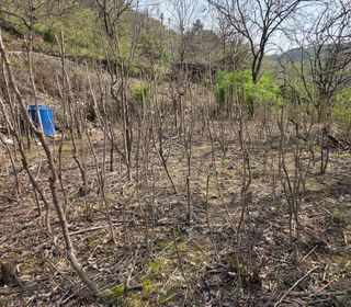 최은호님의 기타작물 · 영농일지 작성글 사진