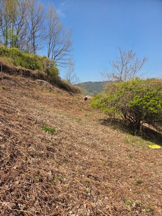 쌍둥이농장님의 기타작물 · 영농일지 작성글 사진