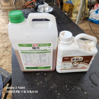 김성훈님의 기타작물 · 영농일지 작성글 사진