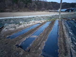 장두학님의 기타작물 · 영농일지 작성글 사진