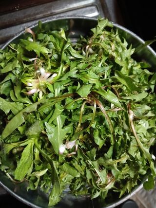 인생은 소풍처럼~님의 기타작물 · 영농일지 작성글 사진