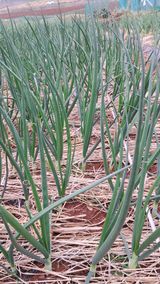 bpjh9173님의 작성글 사진