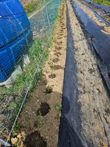 김인수님의 작성글 사진