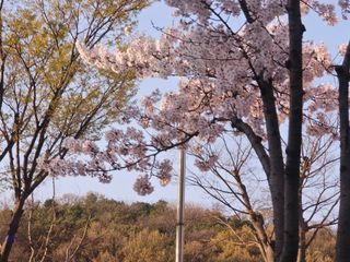 이미옥님의 벼 · 영농일지 작성글 사진