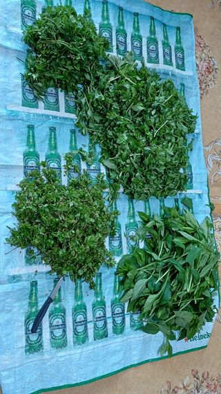 박순덕님의 기타작물 · 영농일지 작성글 사진