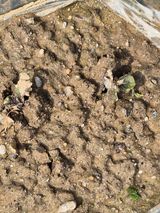 박순례님의 작성글 사진