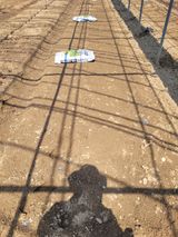 김춘성님의 작성글 사진