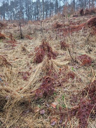 돈디아고(김덕수)님의 작성글 사진