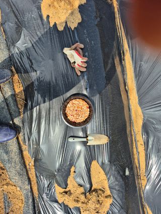 이준영님의 기타작물 · 영농일지 작성글 사진