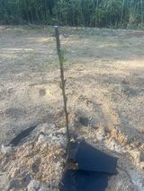 이태규님의 작성글 사진