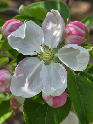 최동구님의 기타작물 · 영농일지 작성글 사진