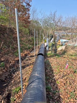 왕대추님의 기타작물 · 영농일지 작성글 사진