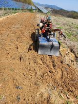 박병한님의 작성글 사진